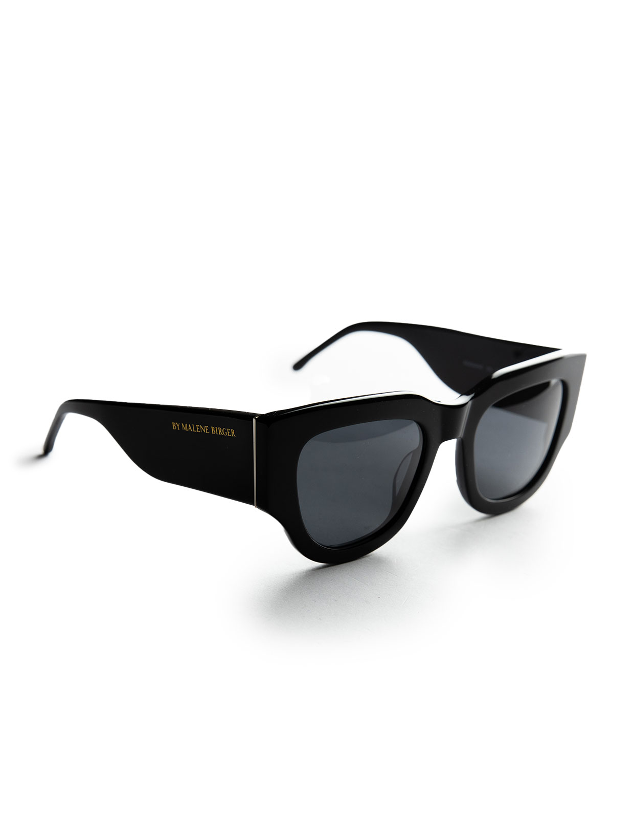 Roksanne Sunglasses Black