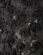 Ivy 3D Floral Top Black