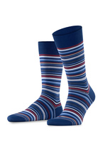 Microblock Socks Royal Blue/Scarlet