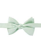 Classic Bow Tie Silk Light Green