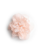Pantera Brosch Rosa One Size