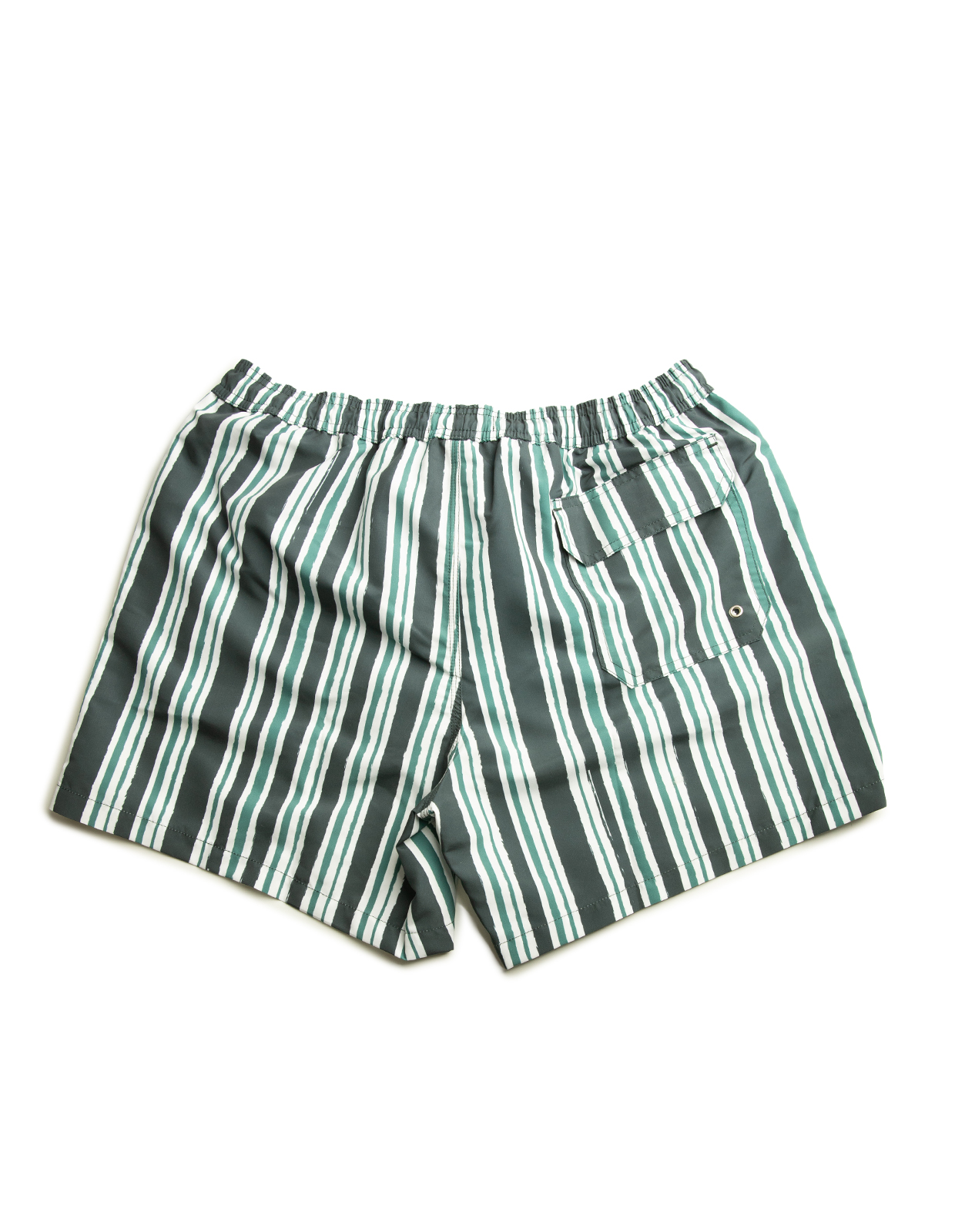 Badshorts Randiga Grön/Vit