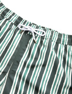 Badshorts Randiga Grön/Vit