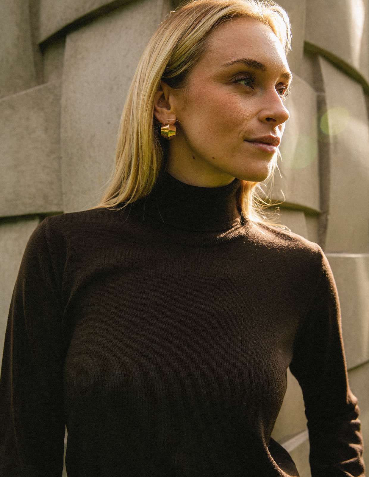 Polotröja Merinoull Brun