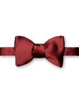 Fluga Siden Oknuten Mörkröd