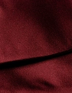 Fluga Siden Oknuten Mörkröd