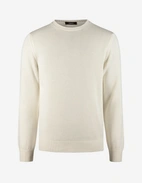 Rundhals Chunky Tröja Bomull Benvit